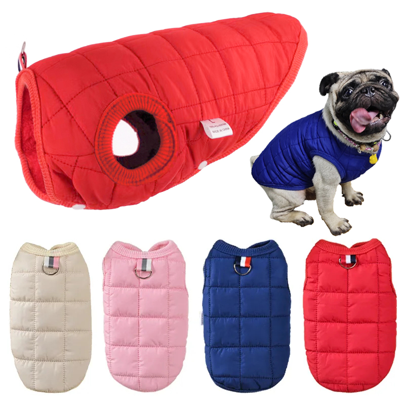 Winter Clothing In French - Winter Pet Cotton Jacket Warm Dog