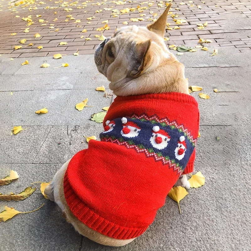 Christmas Dog Sweater Winter D - Winter Clothing In French recension och pris