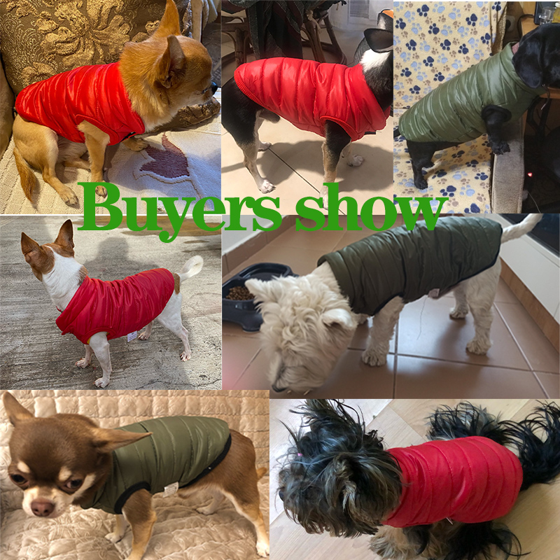 Warm Pet Dog Vest Jacket Autum - Winter Clothing In French recension och pris