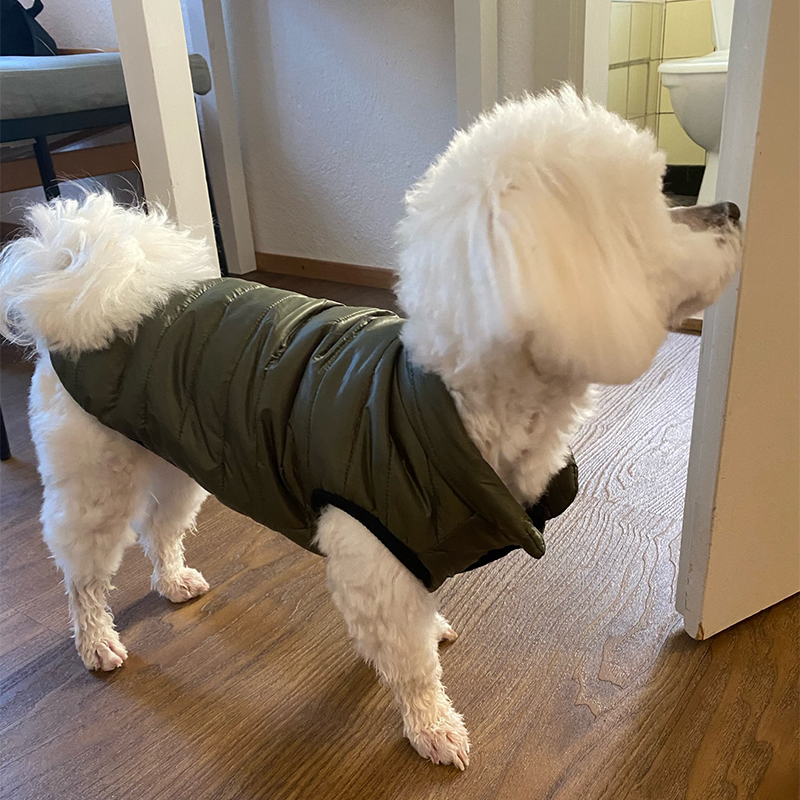 Warm Pet Dog Vest Jacket Autum - Winter Clothing In French recension och pris