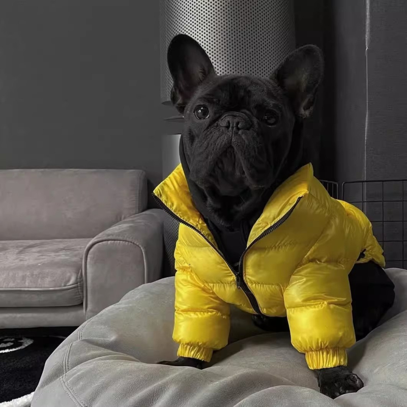 Pug Dog Coat Jacket French Bul - Winter Clothing In French recension och pris