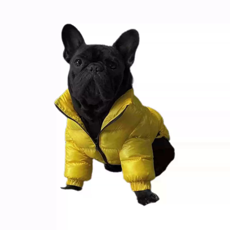 Pug Dog Coat Jacket French Bul - Winter Clothing In French recension och pris