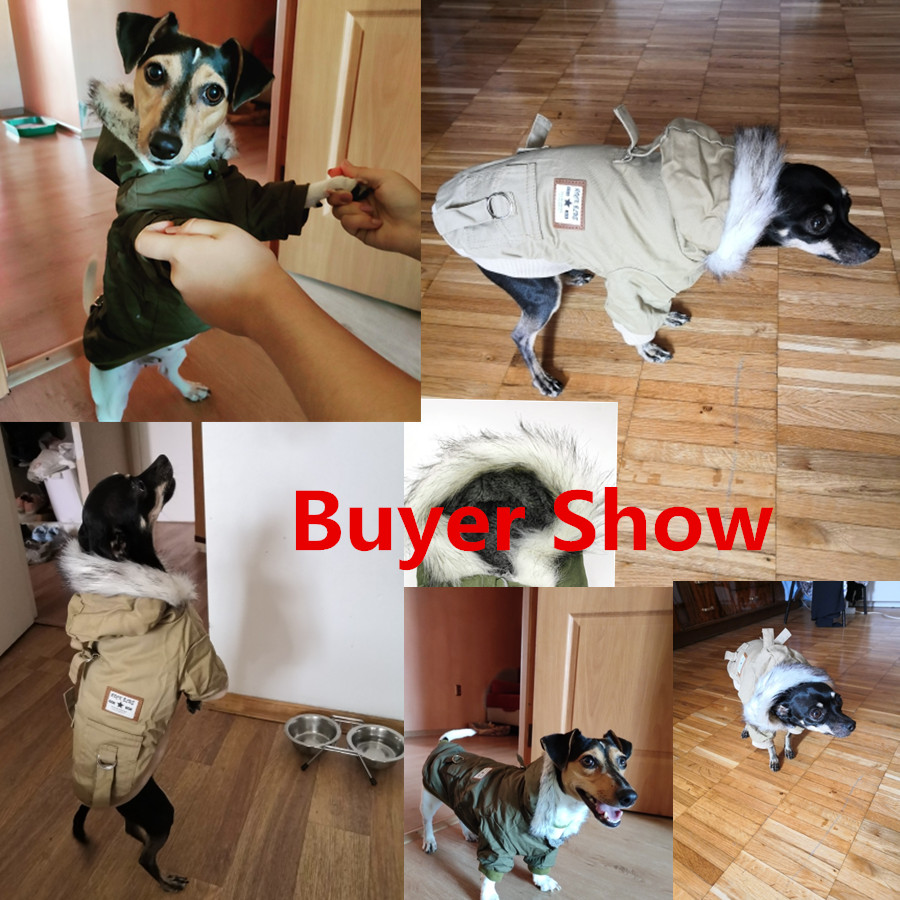 Pet Dog Clothes for Small Dogs - Winter Clothing In French recension och pris