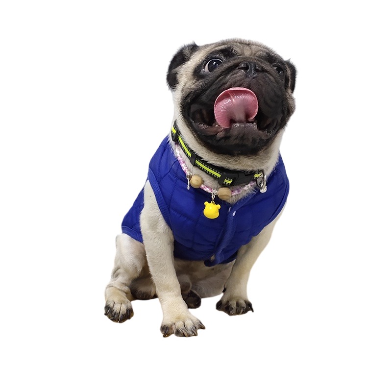 Winter Pet Cotton Jacket Warm  - Winter Clothing In French recension och pris
