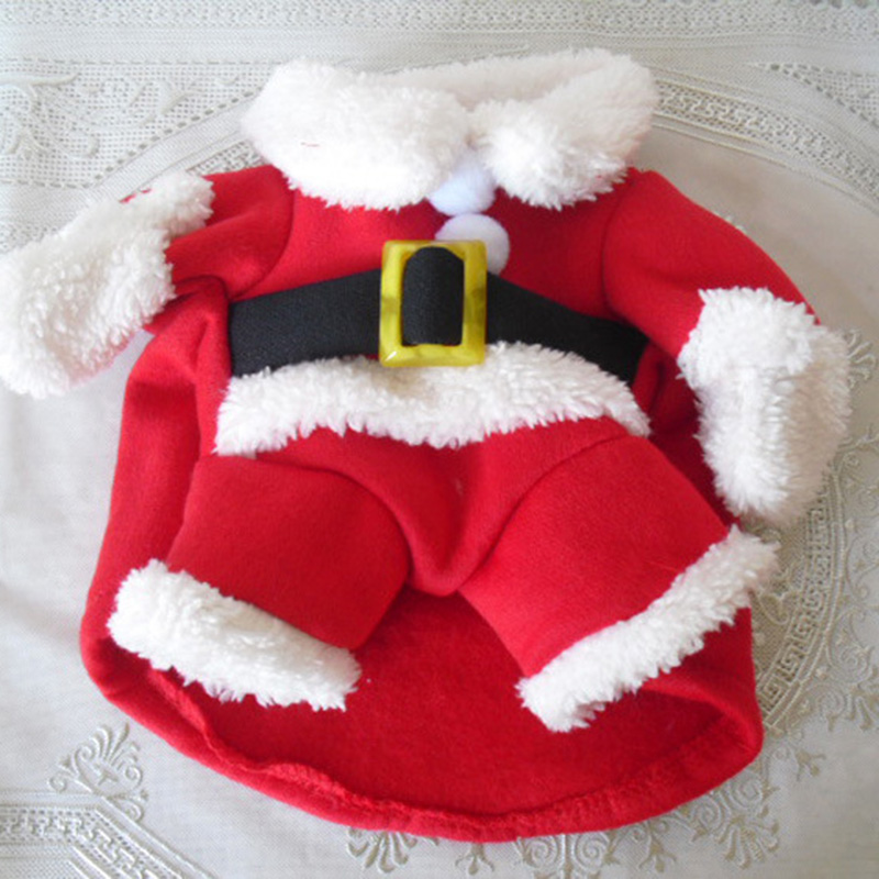 Winter Pet Dog Jacket Coat For - Winter Clothing In French recension och pris