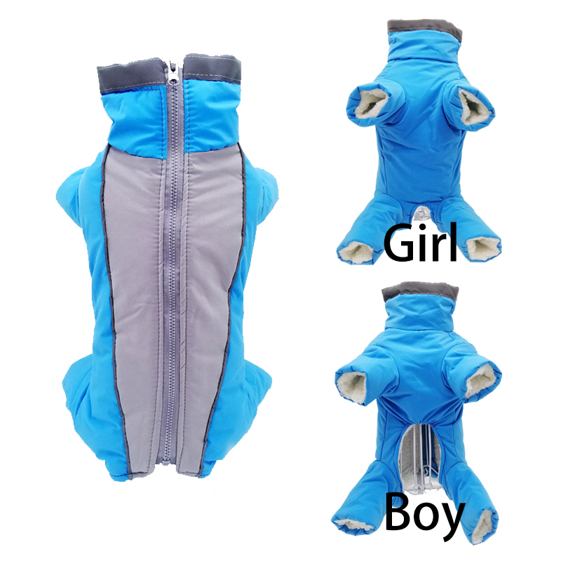 Winter Pet Dog Clothes Super W - Winter Clothing In French recension och pris