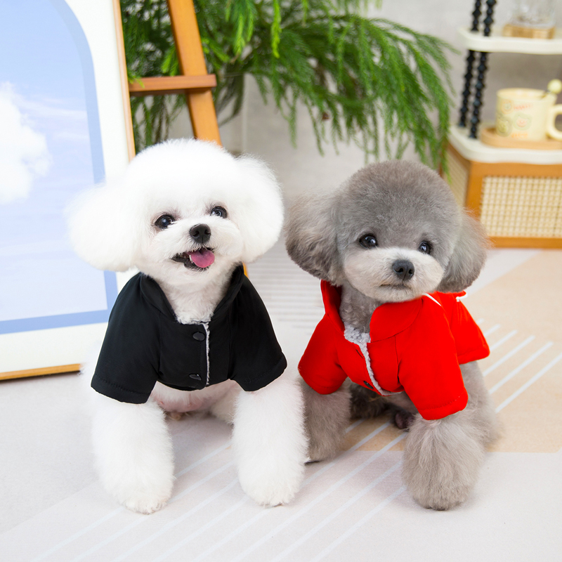 NEW Winter Pet Clothes Jacket  - Winter Clothing In French recension och pris