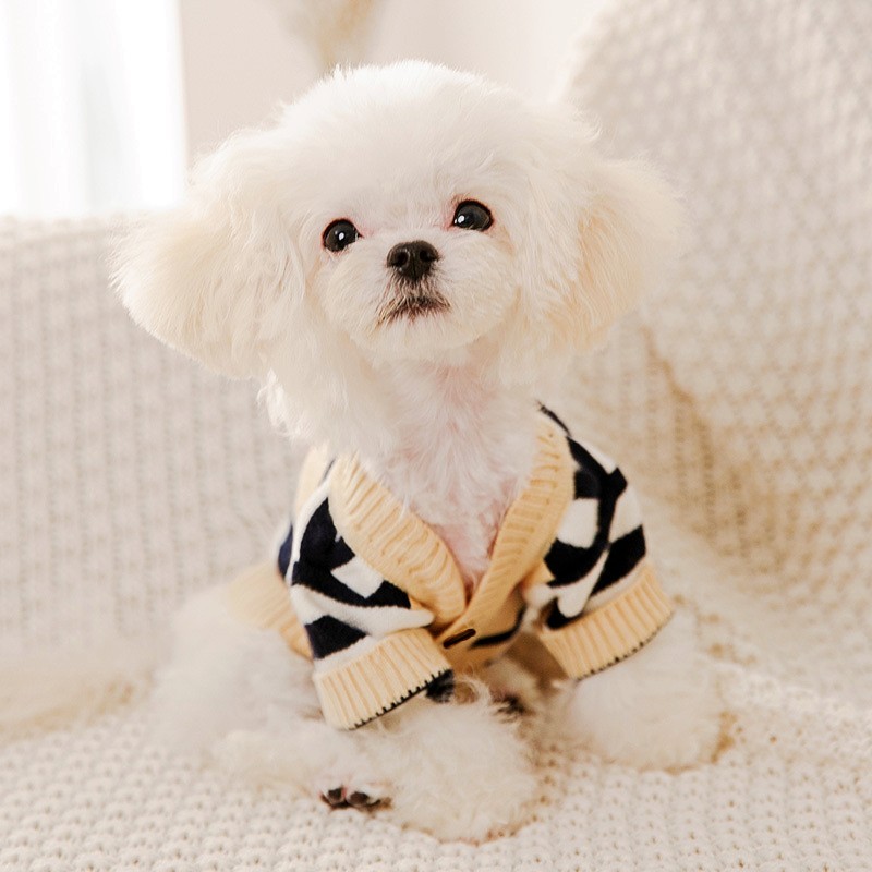Luxury Dog Clothes Halloween W - Winter Clothing In French recension och pris